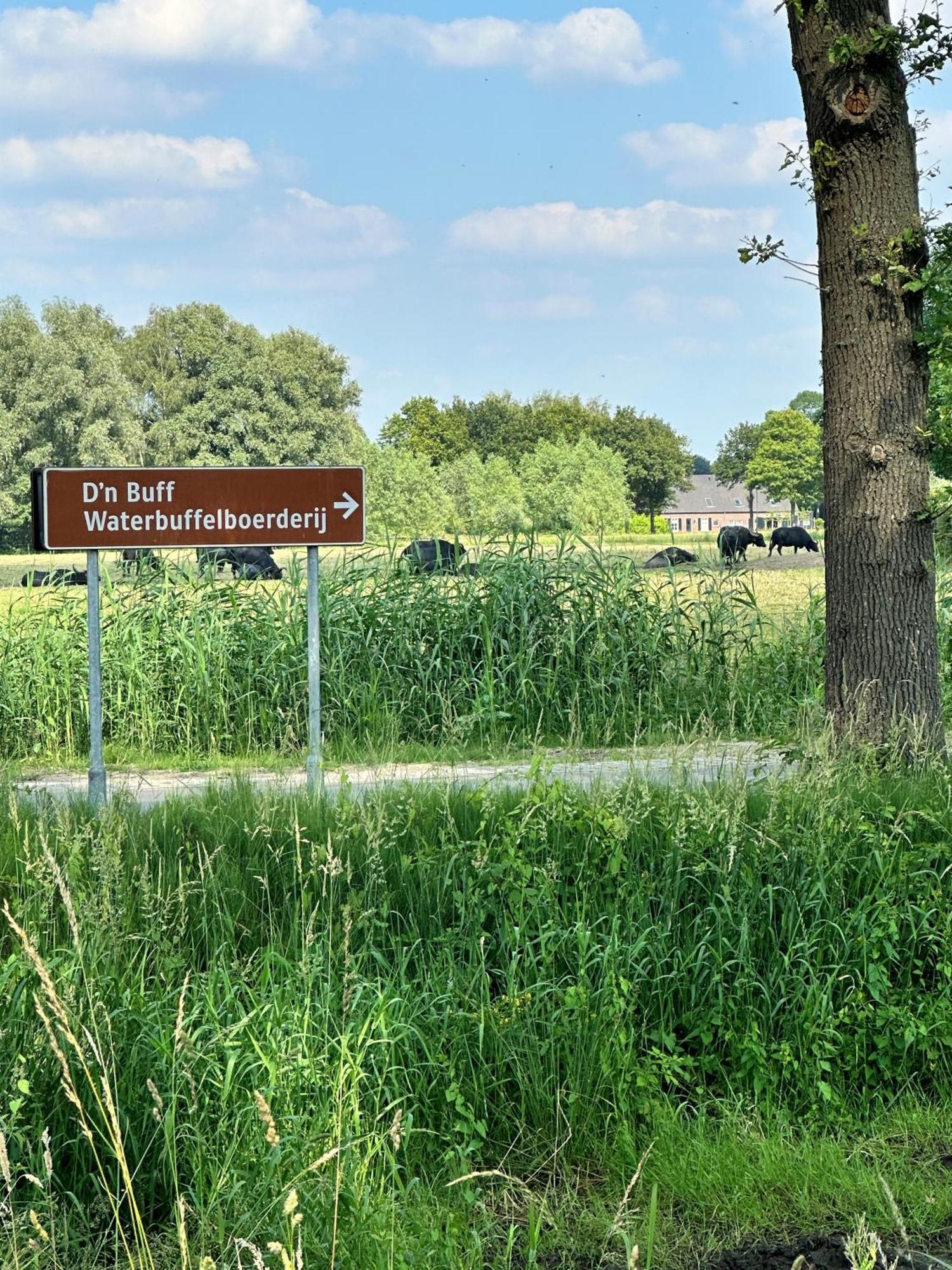 Gasterij Hotel Dennenoord Boxtel Exteriér fotografie